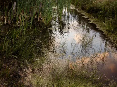Blotevoetenpad Water